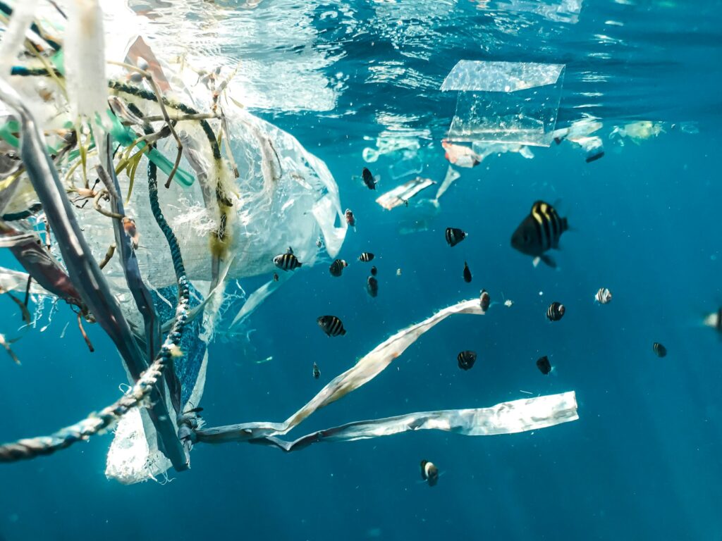 Contaminación por plástico en el medio marino