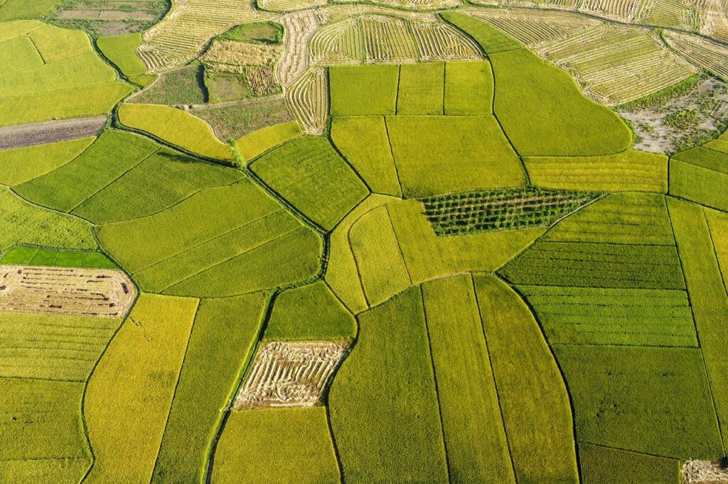 La agricultura y el uso de los suelos impacta en la biodiversidad.